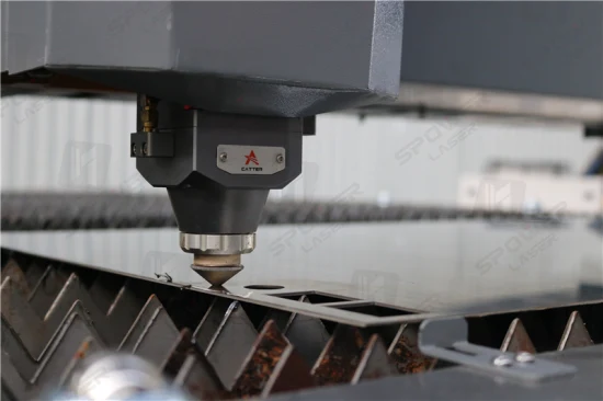 3D CNC Fiber Laser Carving Machine Fiber Laser Cutter for Cutting Ss CS Aluminium Copper Metal Sheet